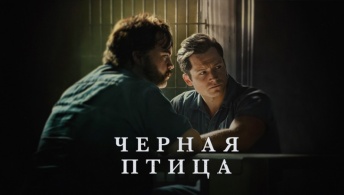 Чёрная птица