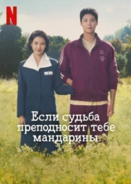 Когда жизнь даёт тебе мандарины Когда жизнь даёт тебе мандарины